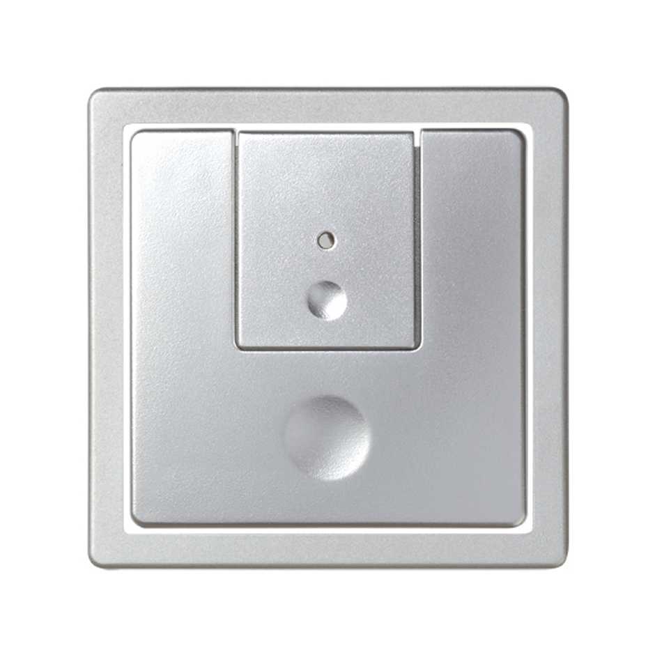 Клавиша двойная для двухуровнего светорегулятора или таймерного переключателя цвета холодный алюминий S82 Detail