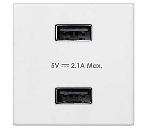 Зарядное устройство 2xUSB 5В 2.1A 230В~ белого цвета K45 Connect