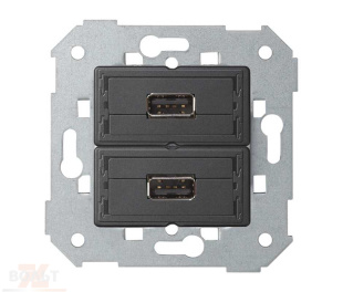 Розетка 2хUSB 2.0 для передачи данных S75